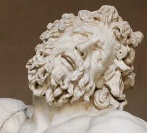 Laocoon_Pio-Clementino_Inv1059-1064-1067_n6 copia